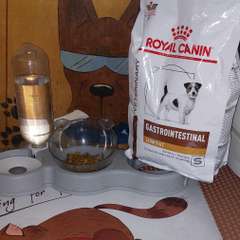 Фото отзыва 10720895