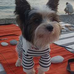 Фото отзыва 10533783