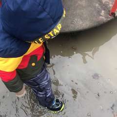 Фото отзыва 3970250