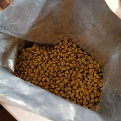 Фото отзыва 11091997