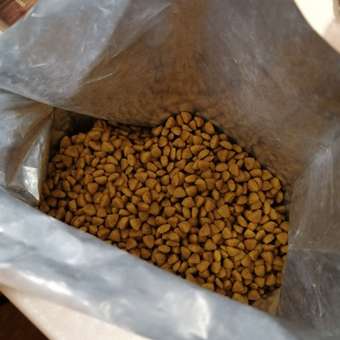 Корм для кошек ROYAL CANIN Hypoallergenic при пищевой аллергии 2кг: отзыв пользователя. Зоомагазин Зоозавр