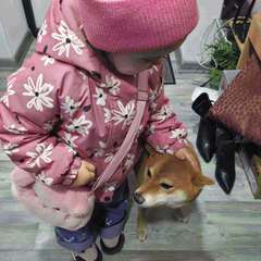 Фото отзыва 11290421