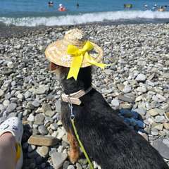 Фото отзыва 10043205