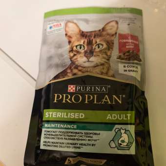 Корм влажный для кошек PRO PLAN MAINTENANCE 85г с говядиной в соусе: отзыв пользователя. Зоомагазин Зоозавр