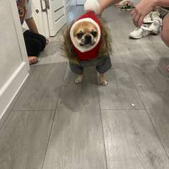 Фото отзыва 5490945