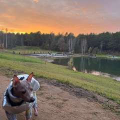 Фото отзыва 10544034