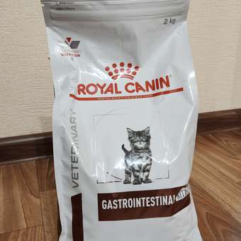 Корм для котят Royal Canin 2кг Gastrointestinal Kitten при нарушениях пищеварения сухой: отзыв пользователя. Зоомагазин Зоозавр