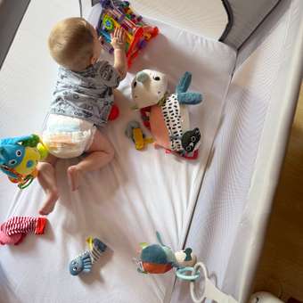 Манеж кровать Babyton Play Box серый: отзыв пользователя ДетМир