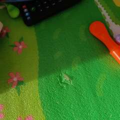 Фото отзыва 11317843