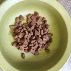 Фото отзыва 10976304