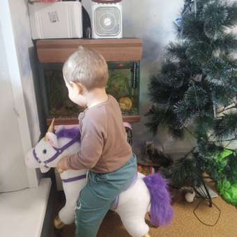 Каталка Amarobaby Funny Horse фиолетовый в ассортименте: отзыв пользователя Детский Мир