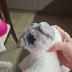 Фото отзыва 10816965