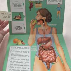 Фото отзыва 10485964