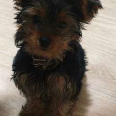 Фото отзыва 10746127