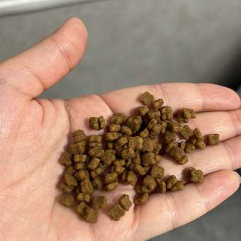 Корм сухой для котят ROYAL CANIN Mother and Babycat 2кг: отзыв пользователя. Зоомагазин Зоозавр