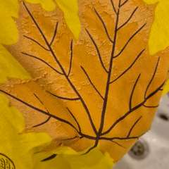 Фото отзыва 10625289