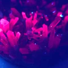 Фото отзыва 10821200