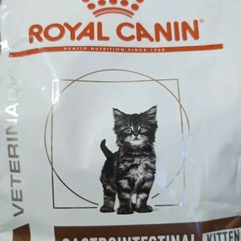 Корм для котят ROYAL CANIN Gastrointestinal kitten при нарушениях пищеварения 350г: отзыв пользователя. Зоомагазин Зоозавр
