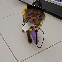 Фото отзыва 11156735