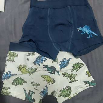 Трусы Day and Night 2 шт: отзыв пользователя Детский Мир