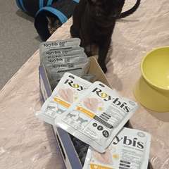 Фото отзыва 10792659