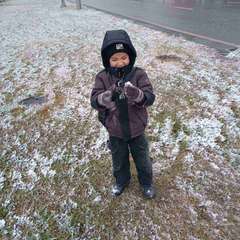 Фото отзыва 10539622