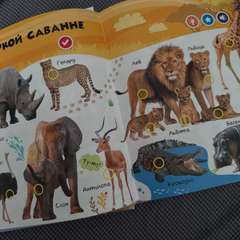 Фото отзыва 10652869