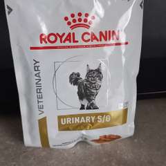 Фото отзыва 11350881