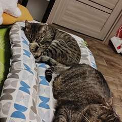 Фото отзыва 10751446