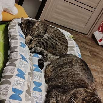 Лежак-матрас Barbaks L 80*50*5см рисунок узорчатый: отзыв пользователя. Зоомагазин Зоозавр