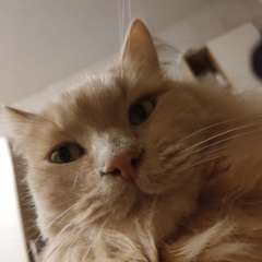 Фото отзыва 11007173