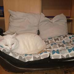 Фото отзыва 10555689