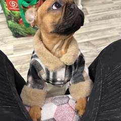 Фото отзыва 10549283