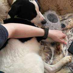 Фото отзыва 11084676