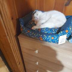 Фото отзыва 10748796