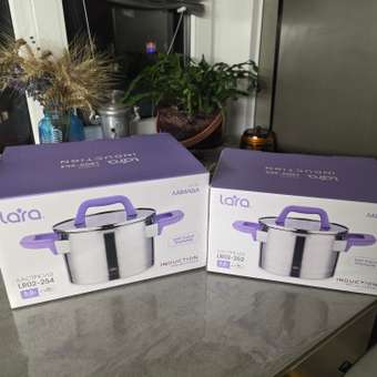 Кастрюля LARA LR02-254 лаванда 5л: отзыв пользователя Детский Мир