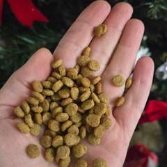 Фото отзыва 10814554