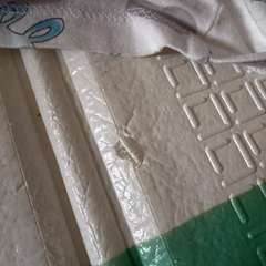 Фото отзыва 11279204