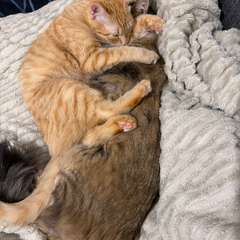 Фото отзыва 10936156