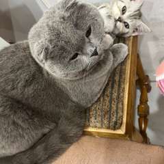 Фото отзыва 10546325