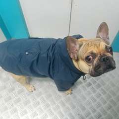 Фото отзыва 5669368