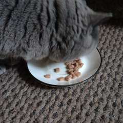 Видео отзыва 10734635