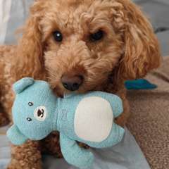 Фото отзыва 11144916