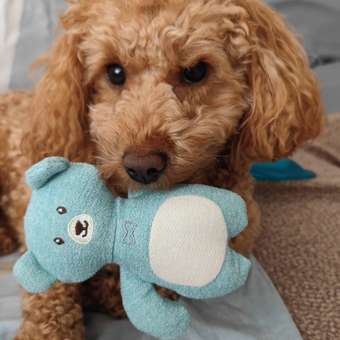 Игрушка для собак Barbaks Мишка Есений мягкий с пищалкой 15.5*13.5см: отзыв пользователя. Зоомагазин Зоозавр