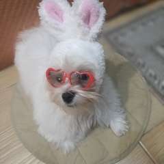 Фото отзыва 10613900