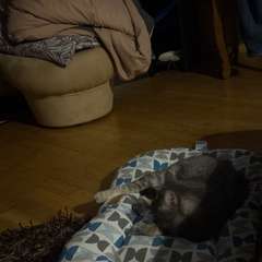 Фото отзыва 10537303