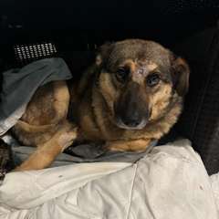 Фото отзыва 10918589