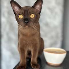 Фото отзыва 10877452