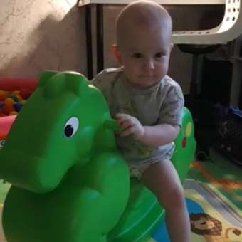 Качалка OKIKID лошадка: отзыв пользователя Детский Мир