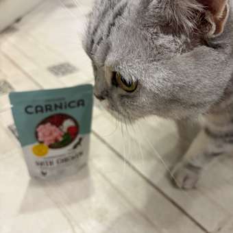 Корм для кошек Carnica 85г полнорационный кусочки в соусе с курицей для привередливых стерилизованных питомцев консервированный: отзыв пользователя. Зоомагазин Зоозавр